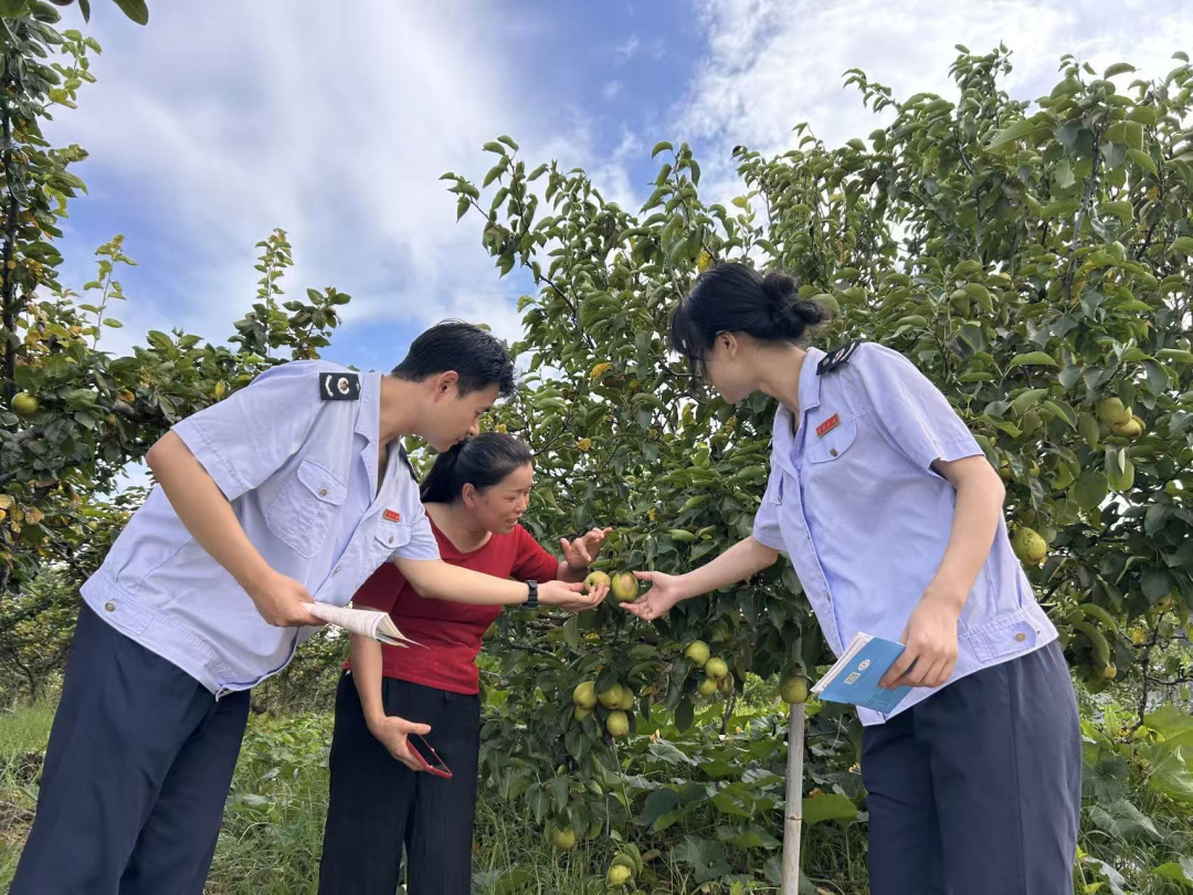 税务合规规范辅导(税务合规的规则体系)合作市