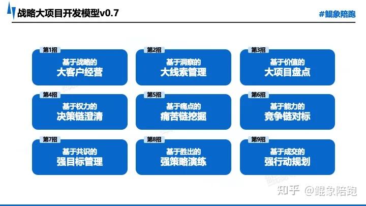 战略执行陪跑服务(战略执行官是什么意思)合作市