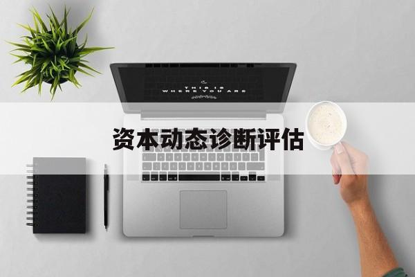 资本动态诊断评估(资本动态诊断评估方法)合作市