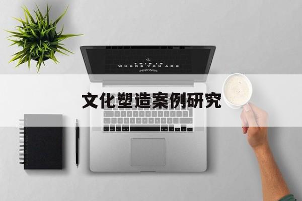 文化塑造案例研究(文化塑造案例研究报告)合作市